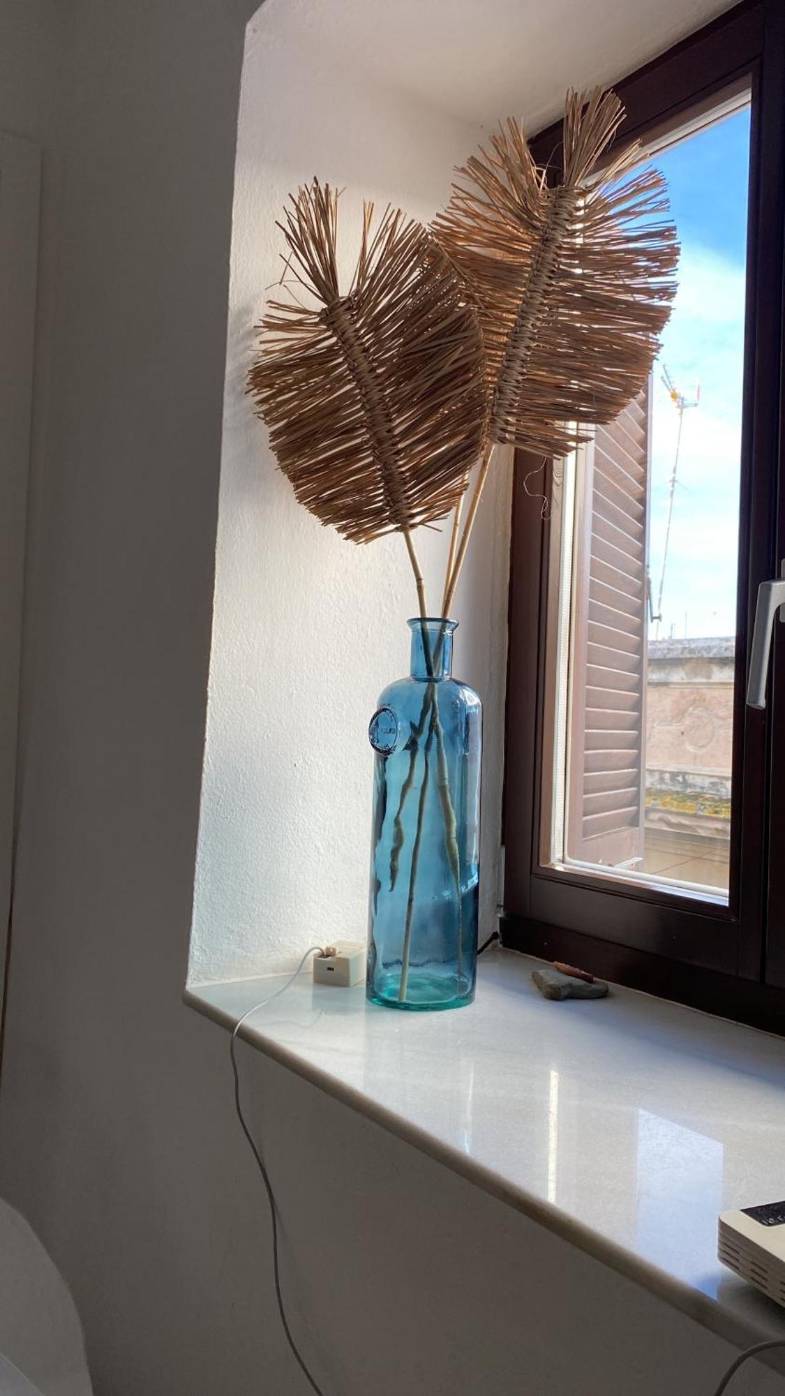 Appartement Espacioso Y Ubicacion De 10 En Centro