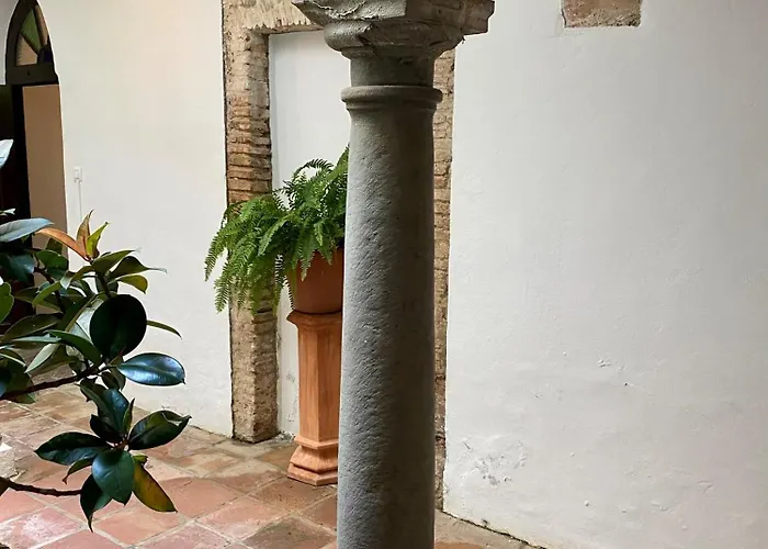Apartamento Espacioso Y Ubicacion De 10 En Centro